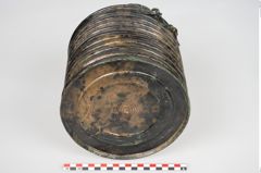 Foto von Bronzerippenziste (NHMW-PRAE-026411)